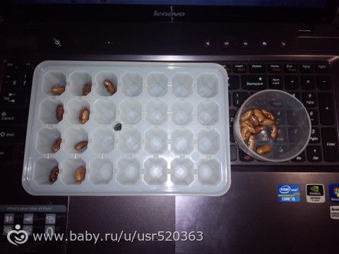 Наши полезные игры