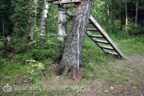 Конная прогулка с ночёвкой