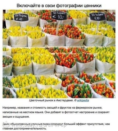 Как не облажаться с фотками из отпуска