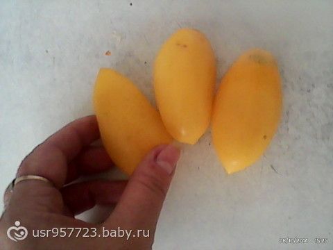 Флэшмоб - один день моей жизни. День.
