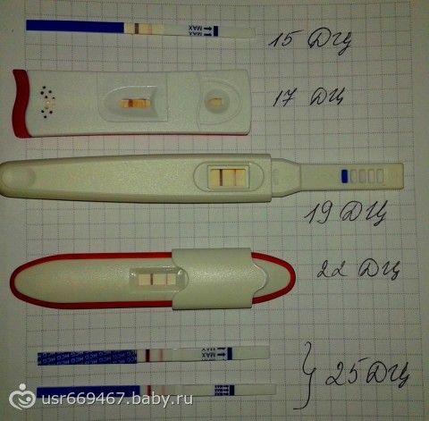 Как по тесту определить беременность картинки