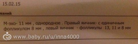Фолликулометрия. После ЭКО плохо работают яичники((((