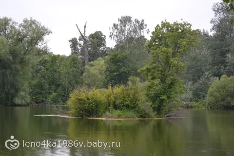 Заброшенная усадьба графа Келлера.Находится в МО.