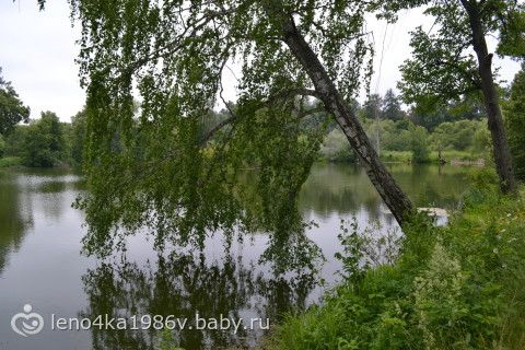 Заброшенная усадьба графа Келлера.Находится в МО.