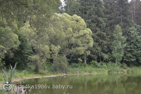 Заброшенная усадьба графа Келлера.Находится в МО.