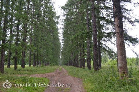 Заброшенная усадьба графа Келлера.Находится в МО.