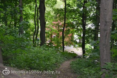 Заброшенная усадьба графа Келлера.Находится в МО.