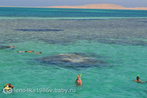 Египет.На Красное море с 2-мя детьми.(+ 39 фото)