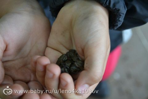 Заброшенная усадьба графа Келлера.Находится в МО.