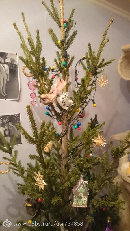 Итоги года (Много букв, много фото)