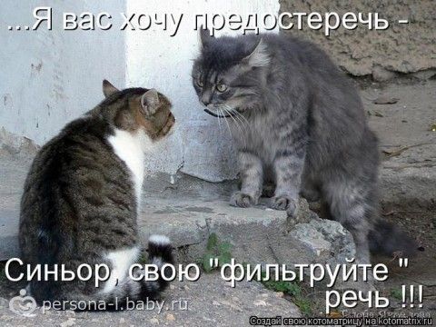 Говорят если мыслить позитивно,то и в жизни будет позитив
