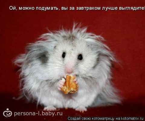 Говорят если мыслить позитивно,то и в жизни будет позитив