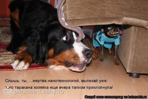Говорят если мыслить позитивно,то и в жизни будет позитив