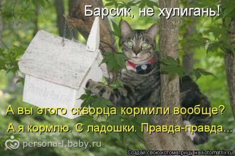 Говорят если мыслить позитивно,то и в жизни будет позитив