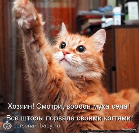 Говорят если мыслить позитивно,то и в жизни будет позитив