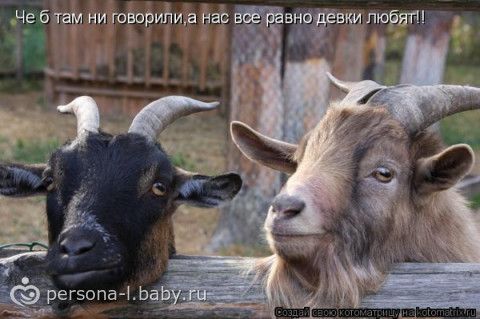 Говорят если мыслить позитивно,то и в жизни будет позитив
