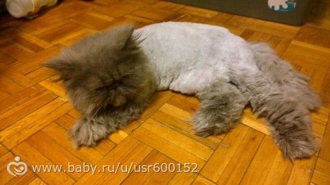 С наступающим!!! Ну и долгожданное 1 УЗИ!)))