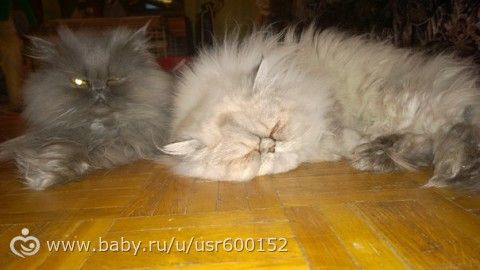 С наступающим!!! Ну и долгожданное 1 УЗИ!)))