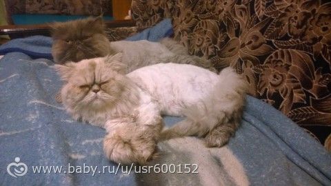 С наступающим!!! Ну и долгожданное 1 УЗИ!)))