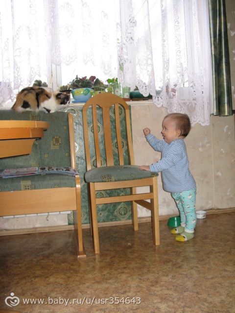 Мишке 6 лет! (+ много фото!)