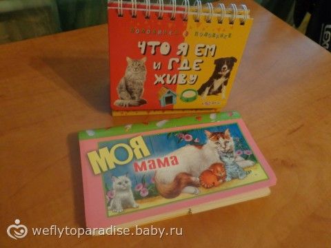 Все что приносит радость ребенку - наши игры и игрушки, отдых :)