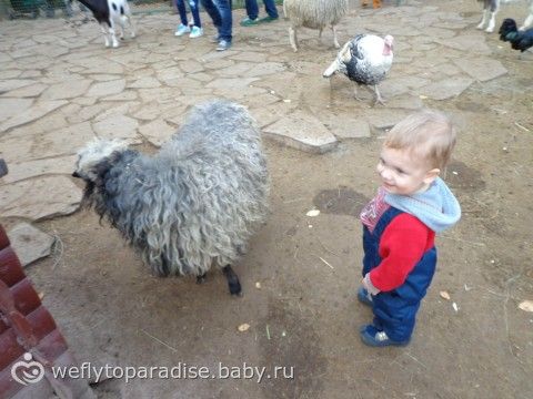Все что приносит радость ребенку - наши игры и игрушки, отдых :)