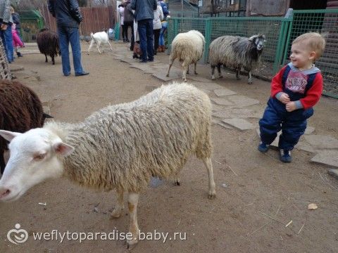 Все что приносит радость ребенку - наши игры и игрушки, отдых :)