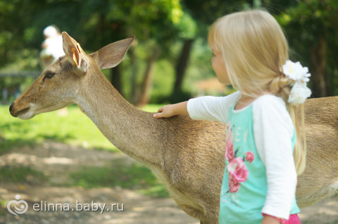 немного фото с Паттайя.
