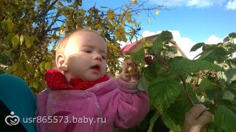 наши новости