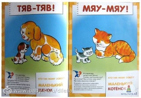 мои 25 недель и желтая неделька с Таечкой
