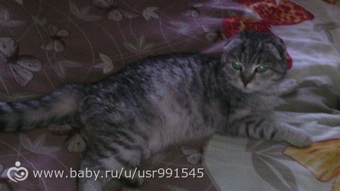 Блиииииииин....