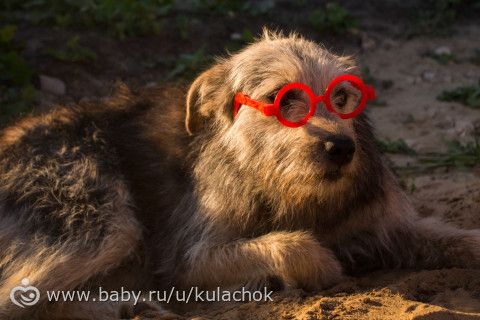 Наши выходные (фото)