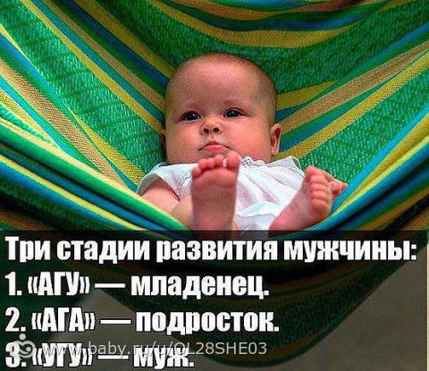 Три стадии развития мужчины....