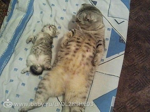 фууууу! Вроде заснул!