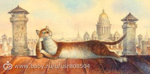 Марафон КОТТ 4. Рутины