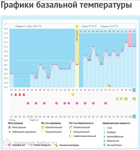 Программа бт беларусь на сегодня