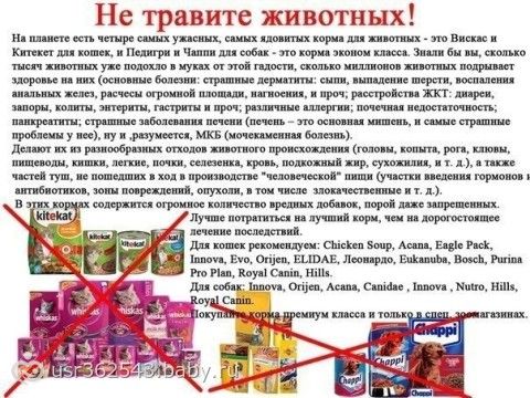 Не травите своих питомцев!