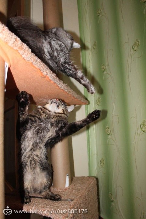 Обживание новых высот))