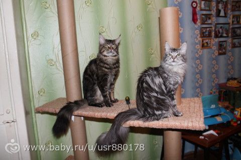 Обживание новых высот))