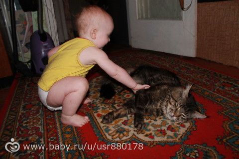 Обживание новых высот))