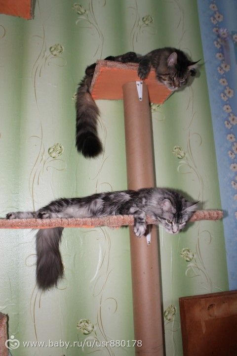 Я в расстройстве! :(