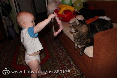 Жизнь не жизнь,когда в доме нет питомцев!
