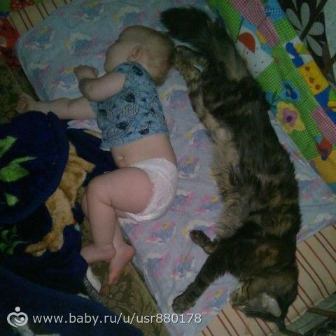 Жизнь не жизнь,когда в доме нет питомцев!