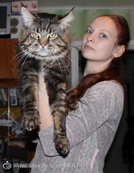Жизнь не жизнь,когда в доме нет питомцев!