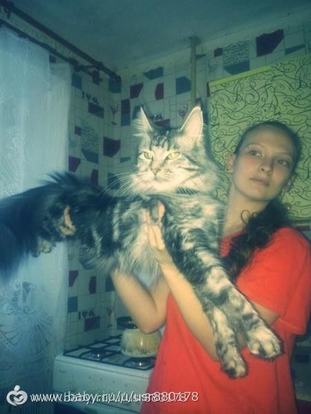 Жизнь не жизнь,когда в доме нет питомцев!