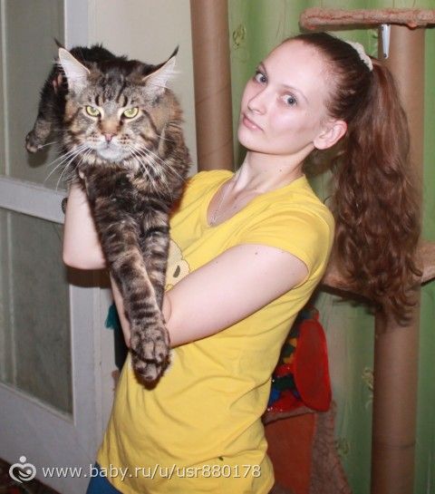 И радостно и горестно