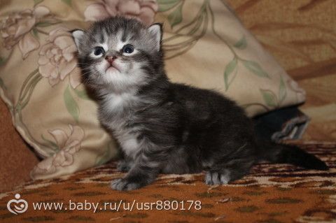 Кого то он мне напоминает)))