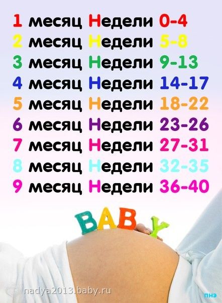 подскажут, как 33 неделя беременности это какой месяц таблица после сытного жирного