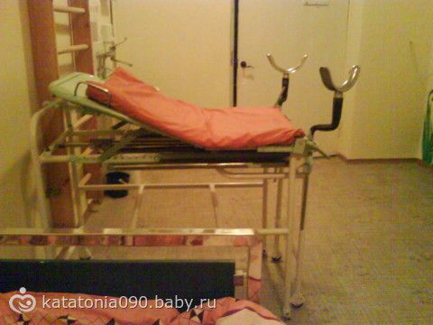 Рождение моей лисы Алисы (09.02.2011) ОЧЕНЬ МНОГО БУКВ+ ФОТО!