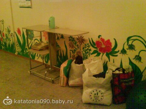 Рождение моей лисы Алисы (09.02.2011) ОЧЕНЬ МНОГО БУКВ+ ФОТО!
